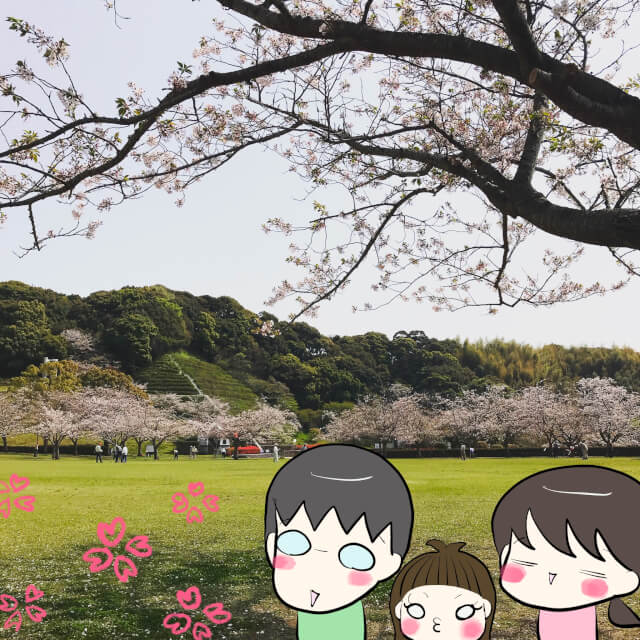 宮崎で花見をするなら久峰公園がおすすめ！